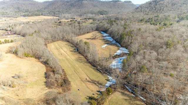 drone / aerial view with a mountain view