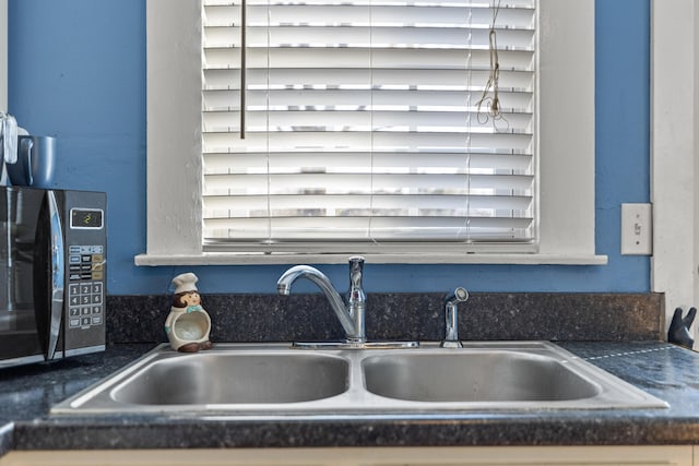 interior details featuring sink