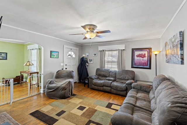 living room with crown molding, ceiling fan, and wood-type flooring