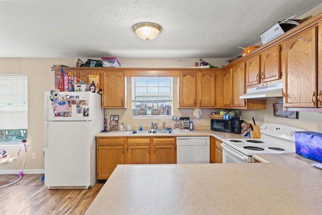 kitchen with sink, a textured ceiling, white appliances, and light hardwood / wood-style floors