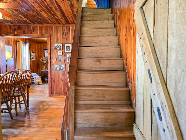 stairs with hardwood / wood-style flooring, wooden ceiling, and wood walls