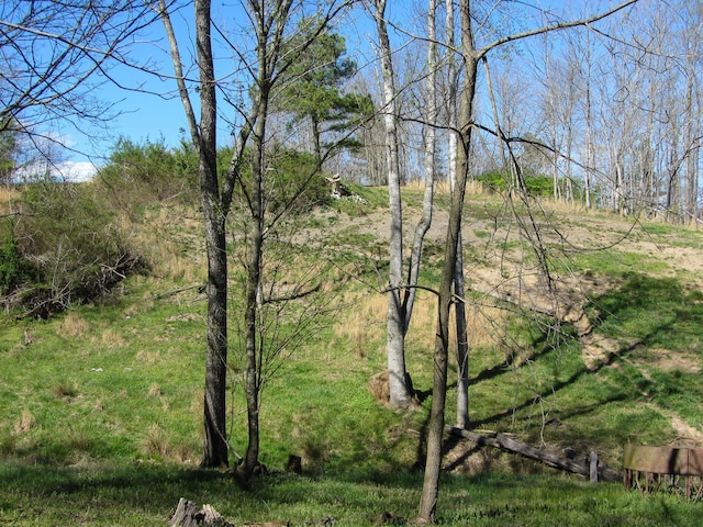 view of local wilderness