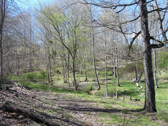 view of local wilderness