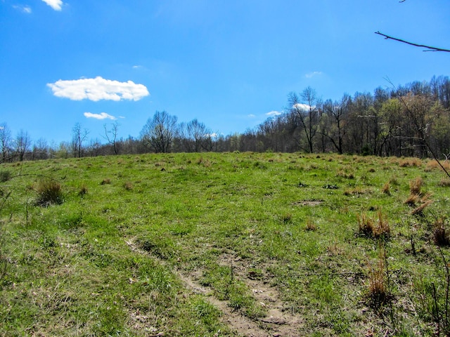 view of landscape featuring a rural view