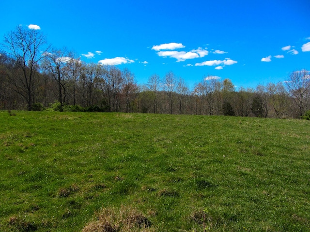 view of landscape