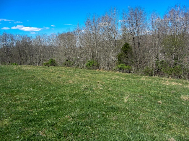 view of local wilderness