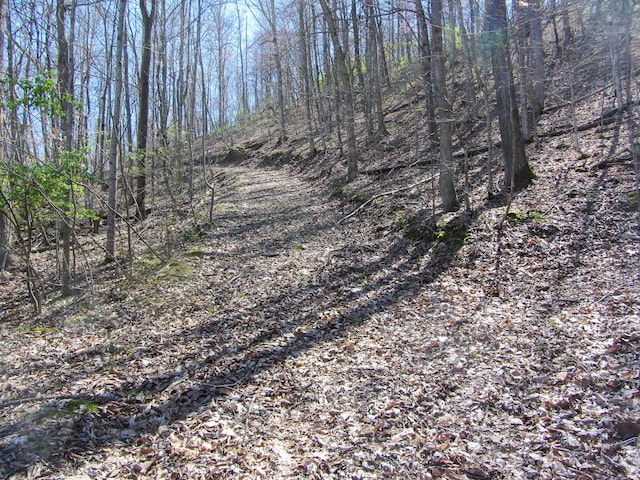 view of landscape