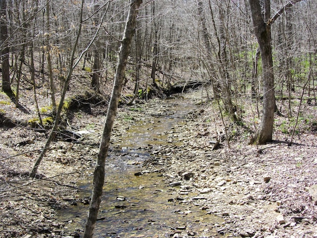 view of local wilderness