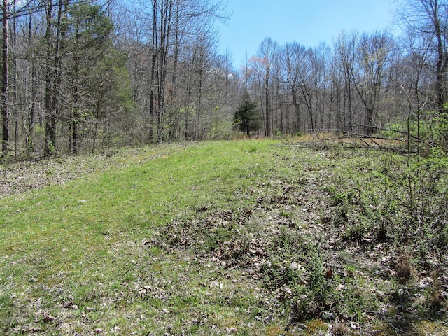 view of landscape