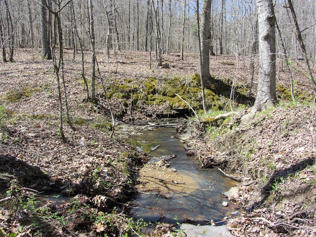 view of landscape