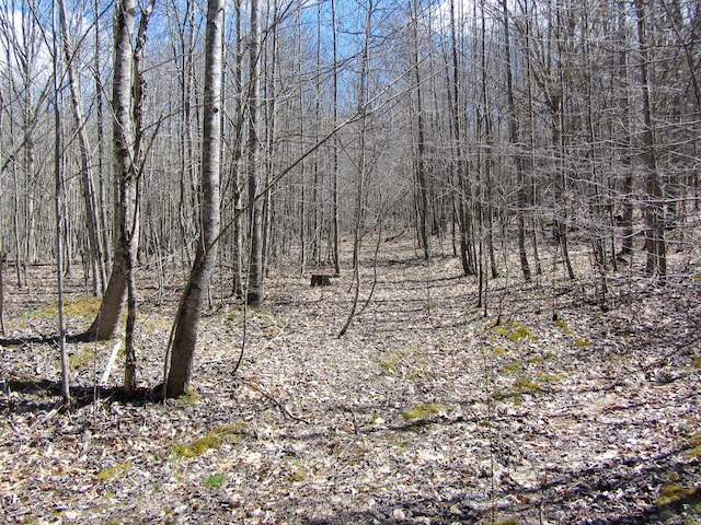 view of landscape