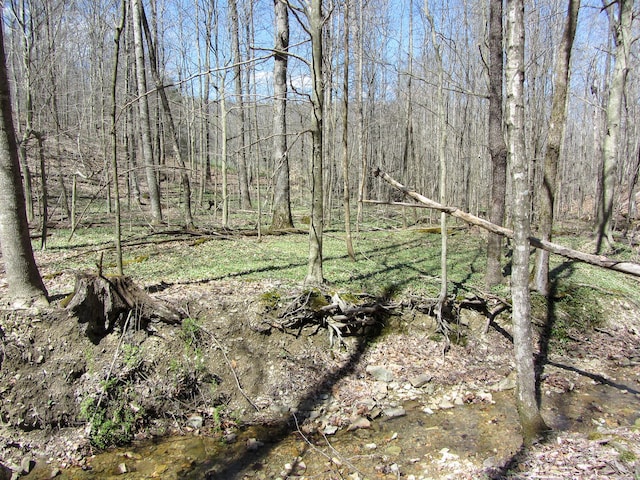 view of landscape