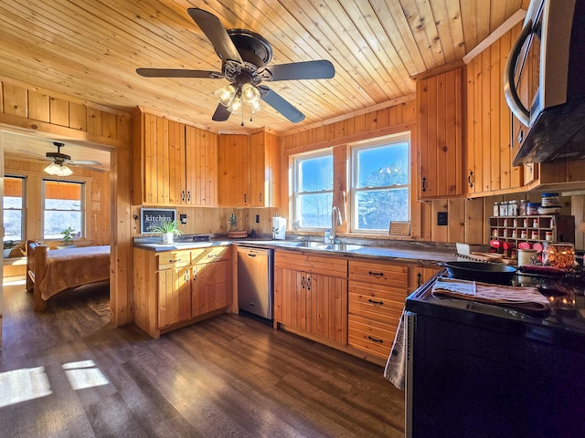 kitchen with dark wood-type flooring, appliances with stainless steel finishes, sink, and a wealth of natural light