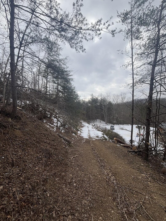 view of local wilderness