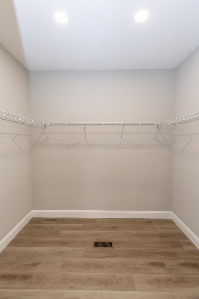 spacious closet with wood-type flooring