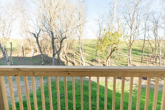 view of yard with a rural view