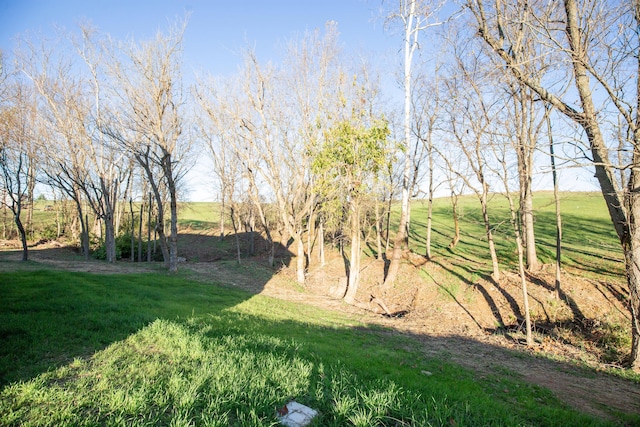 view of yard featuring a rural view