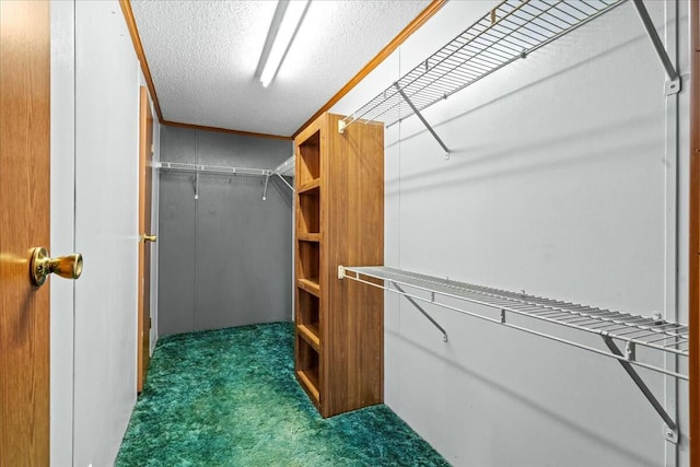 spacious closet featuring dark colored carpet