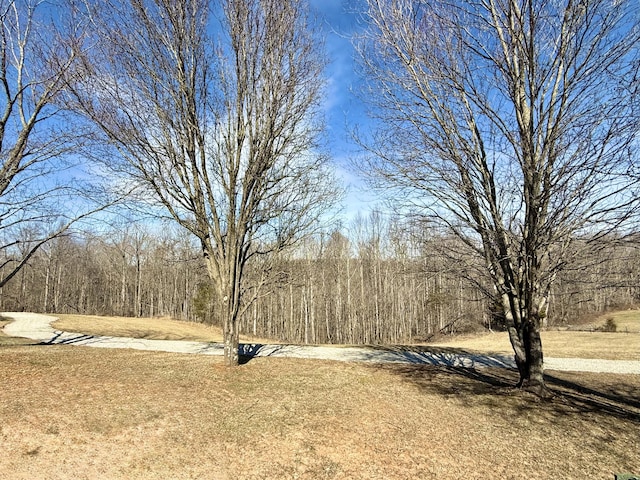 view of yard with a view of trees