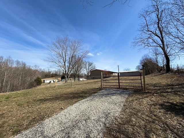 view of road featuring driveway, a gated entry, and a gate