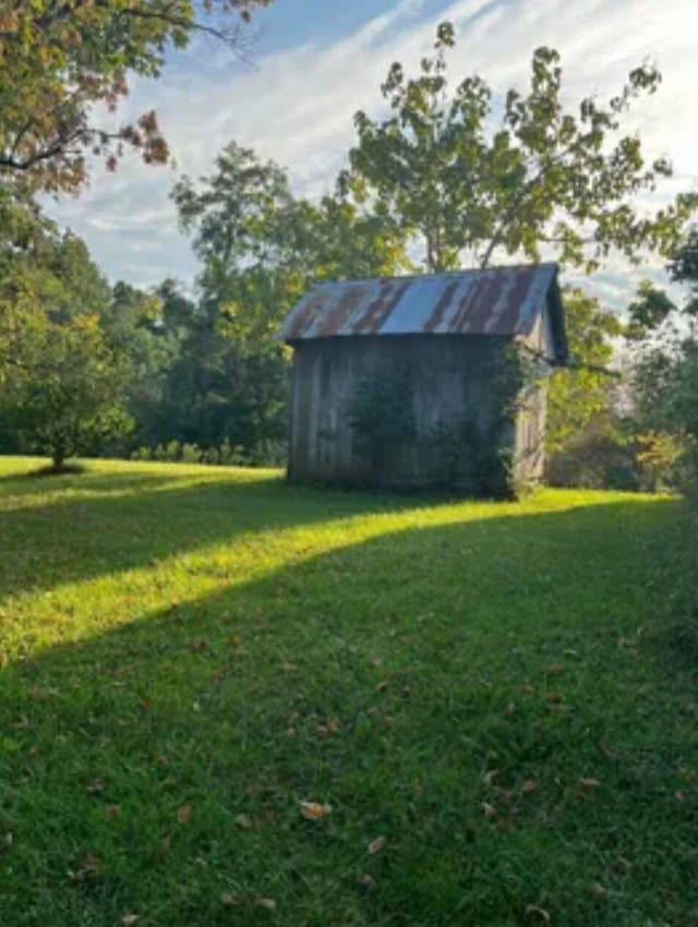 view of yard with a storage unit