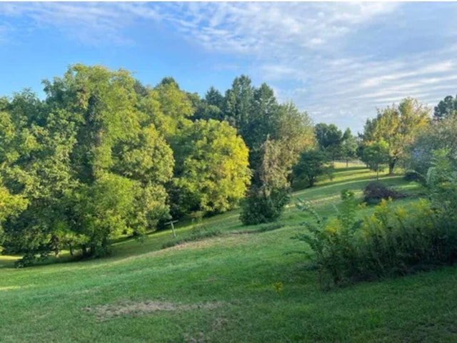 surrounding community featuring a lawn