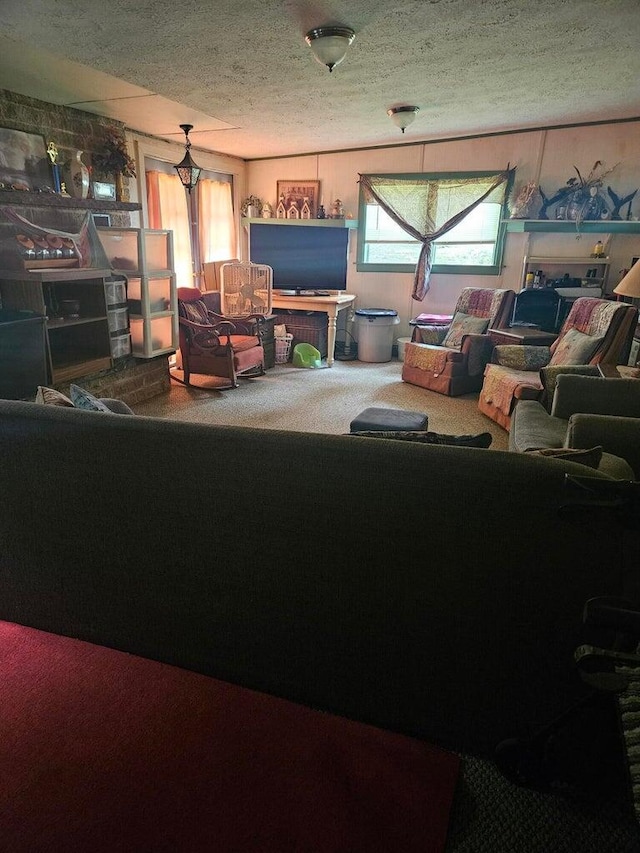 carpeted living room with a textured ceiling