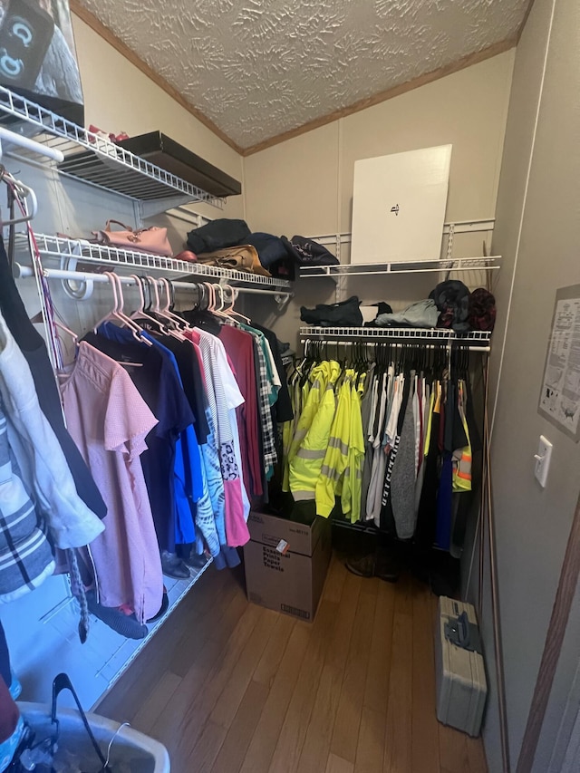 walk in closet with wood-type flooring