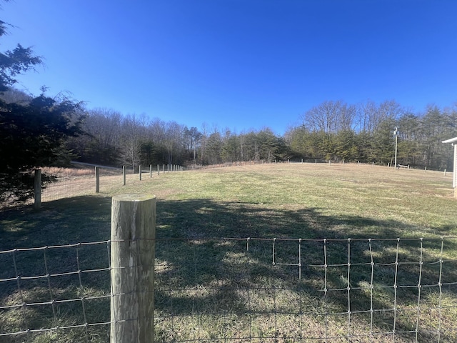 view of yard featuring a rural view