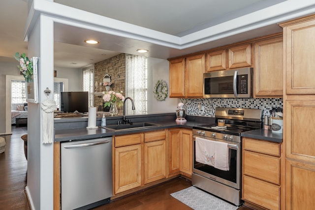 kitchen with sink, decorative backsplash, dark hardwood / wood-style floors, and appliances with stainless steel finishes