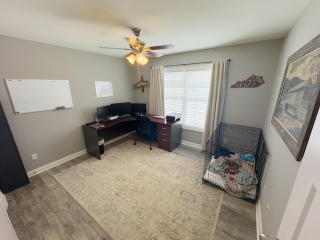 office featuring hardwood / wood-style flooring and ceiling fan