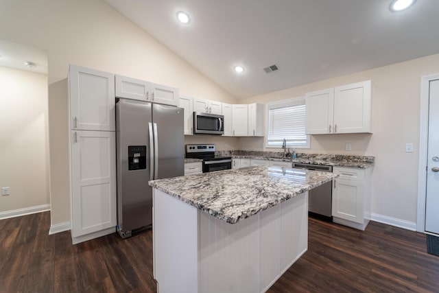 2053 Partridge Way, Richmond, KY 40475 - kitchen with stainless steel appliances, a sink, dark wood-type flooring, light stone countertops, and lofted ceiling