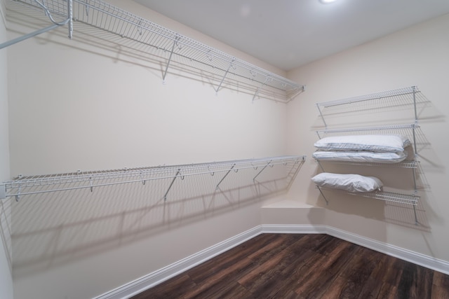 walk in closet featuring hardwood / wood-style flooring