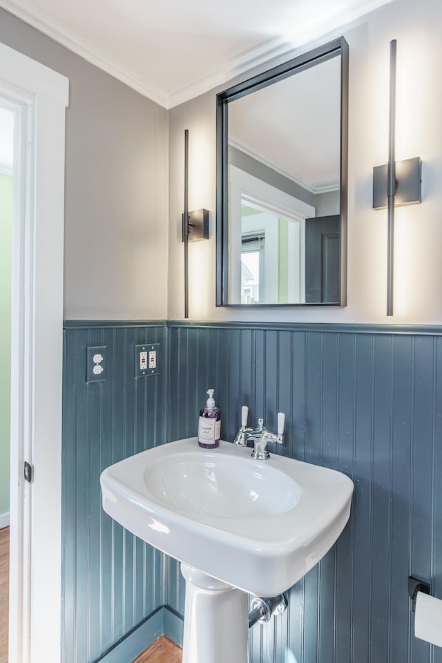 bathroom with ornamental molding and sink