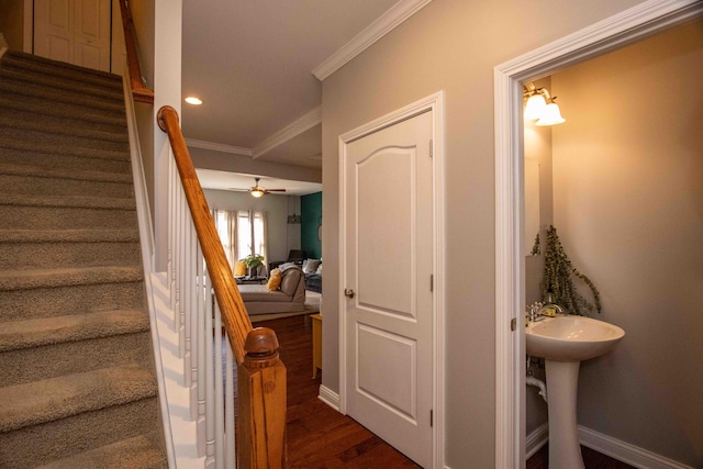 staircase featuring hardwood / wood-style floors, ornamental molding, and ceiling fan