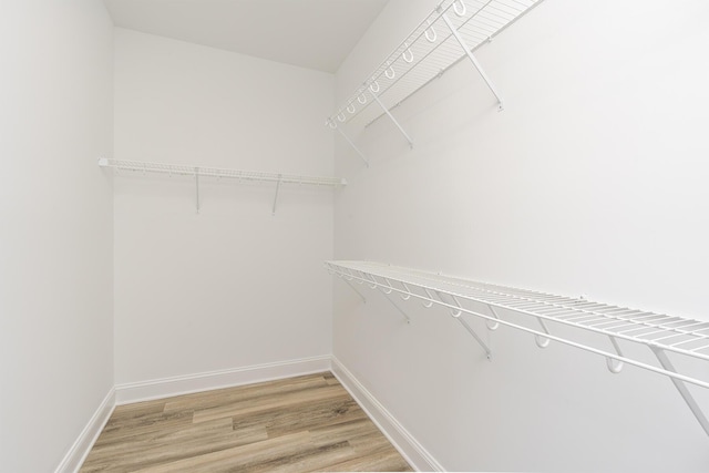 spacious closet featuring light wood finished floors