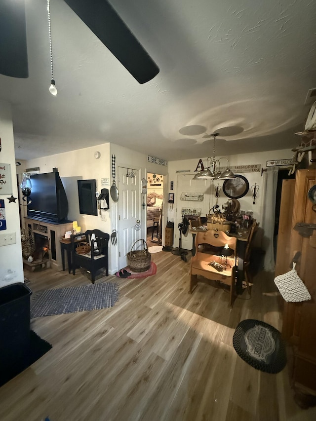 living room with hardwood / wood-style flooring