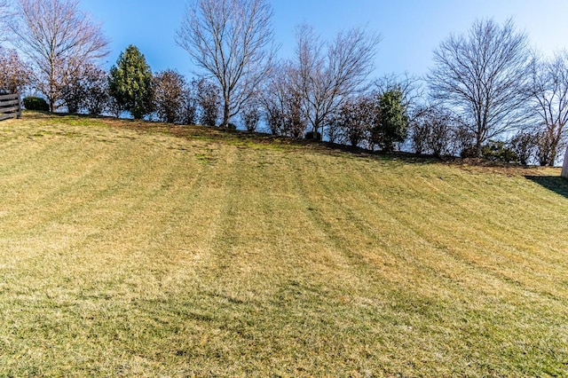 view of yard