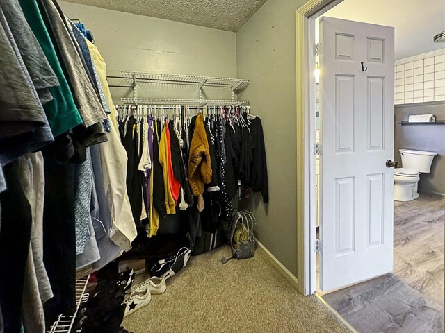 walk in closet with hardwood / wood-style flooring