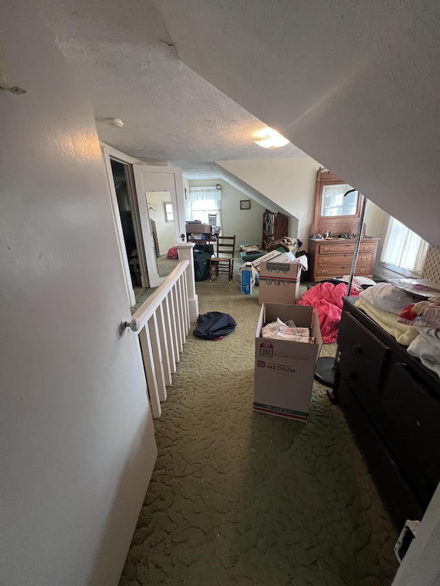 additional living space featuring carpet, lofted ceiling, and a textured ceiling