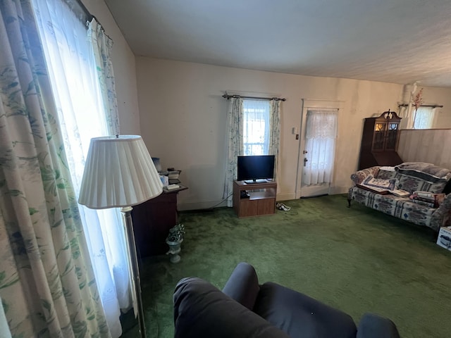 living room with carpet floors