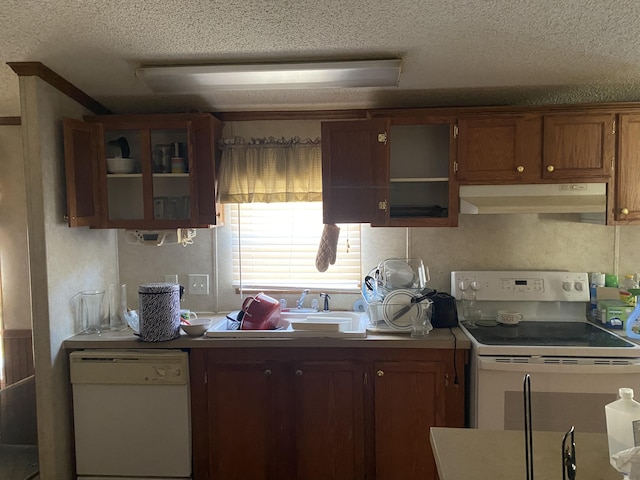 kitchen with sink, exhaust hood, a textured ceiling, and white appliances