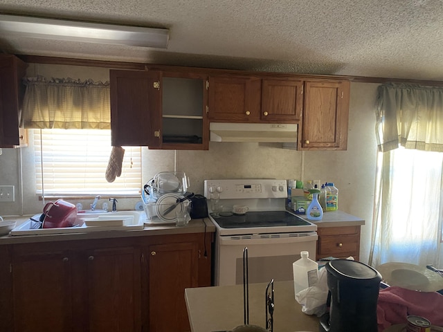 kitchen featuring sink, a textured ceiling, and white electric range oven