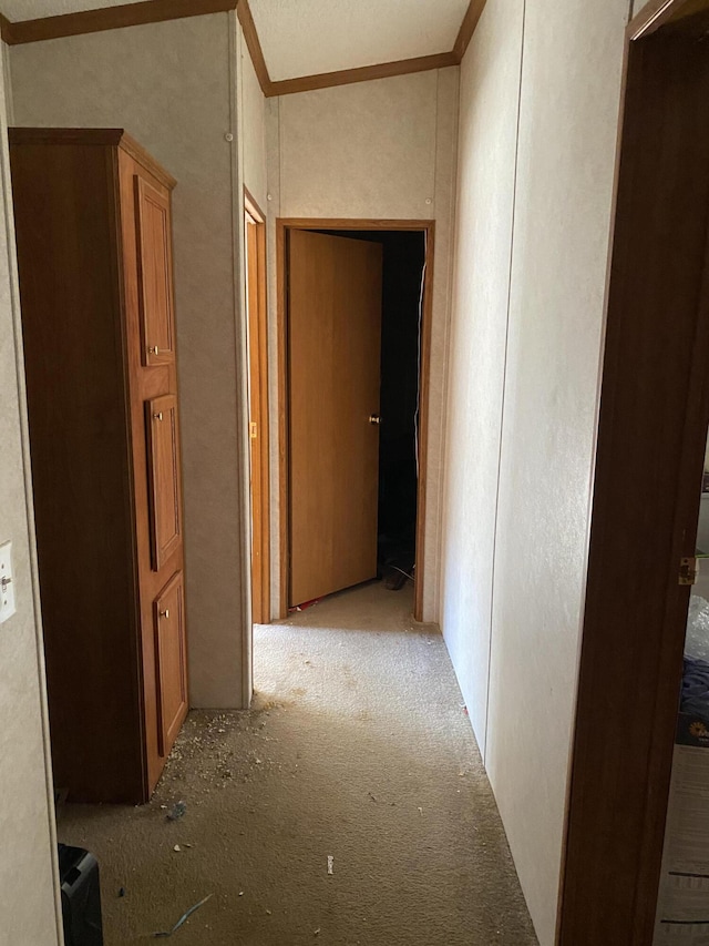 hallway with ornamental molding