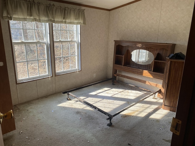 empty room featuring crown molding and light colored carpet