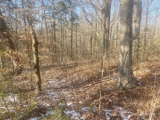 LOT2 Cumberland Shrs, Monticello KY, 42633 land for sale