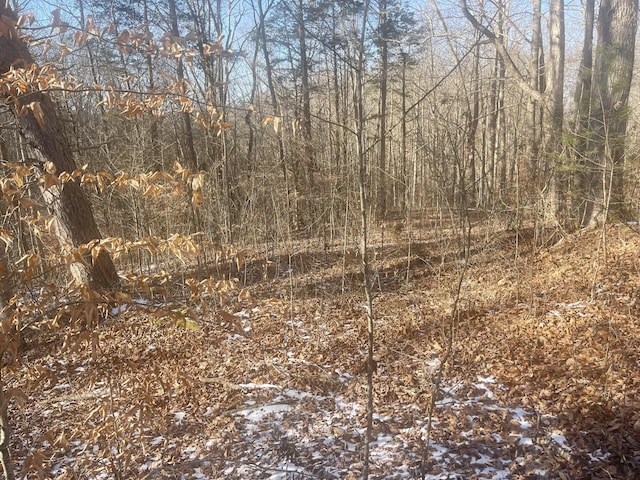 Listing photo 2 for LOT2 Cumberland Shrs, Monticello KY 42633