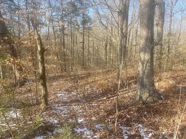 Listing photo 3 for LOT2 Cumberland Shrs, Monticello KY 42633