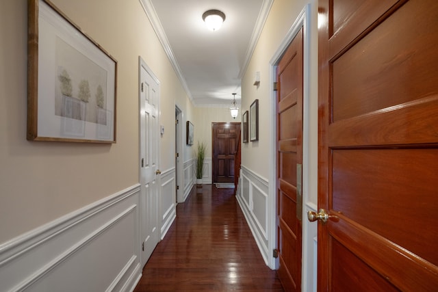 corridor with ornamental molding and dark hardwood / wood-style floors