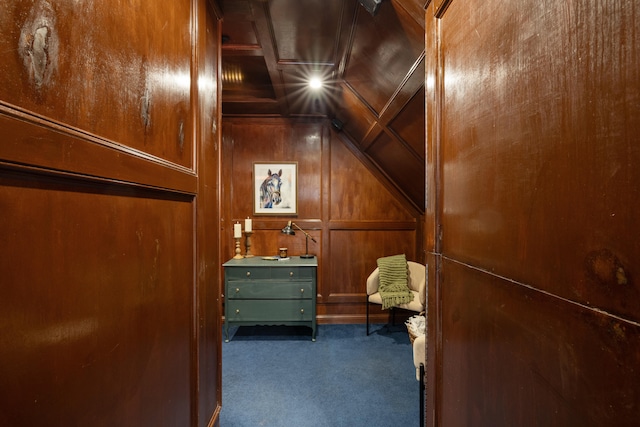 spacious closet featuring lofted ceiling and dark colored carpet